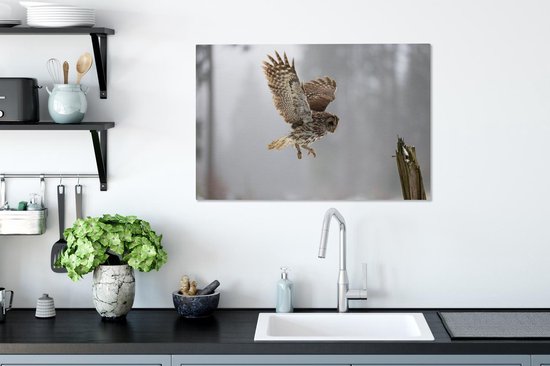 Tawny Owl atterrira sur un poteau Toile 90x60 cm - Tirage photo sur toile (Décoration murale salon / chambre)