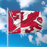 Vlag Ooststellingwerf 150x225cm