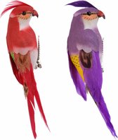 4x stuks decoratie kunststof vogels papegaaien op clip paars/rood van 13 cm - Tropische feest thema/versiering
