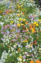 MRS Seeds & Mixtures Rotstuinen Bloemenmix - Eenjarig – groeihoogte: 15-60 cm – 20 verschillende bloemsoorten – trekt nuttige insecten aan – creëert een prachtige bloemenoase – erg