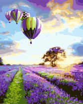 Paint by Number - Schilderen op Nummer - Lavender balloons - paintbynumber.eu