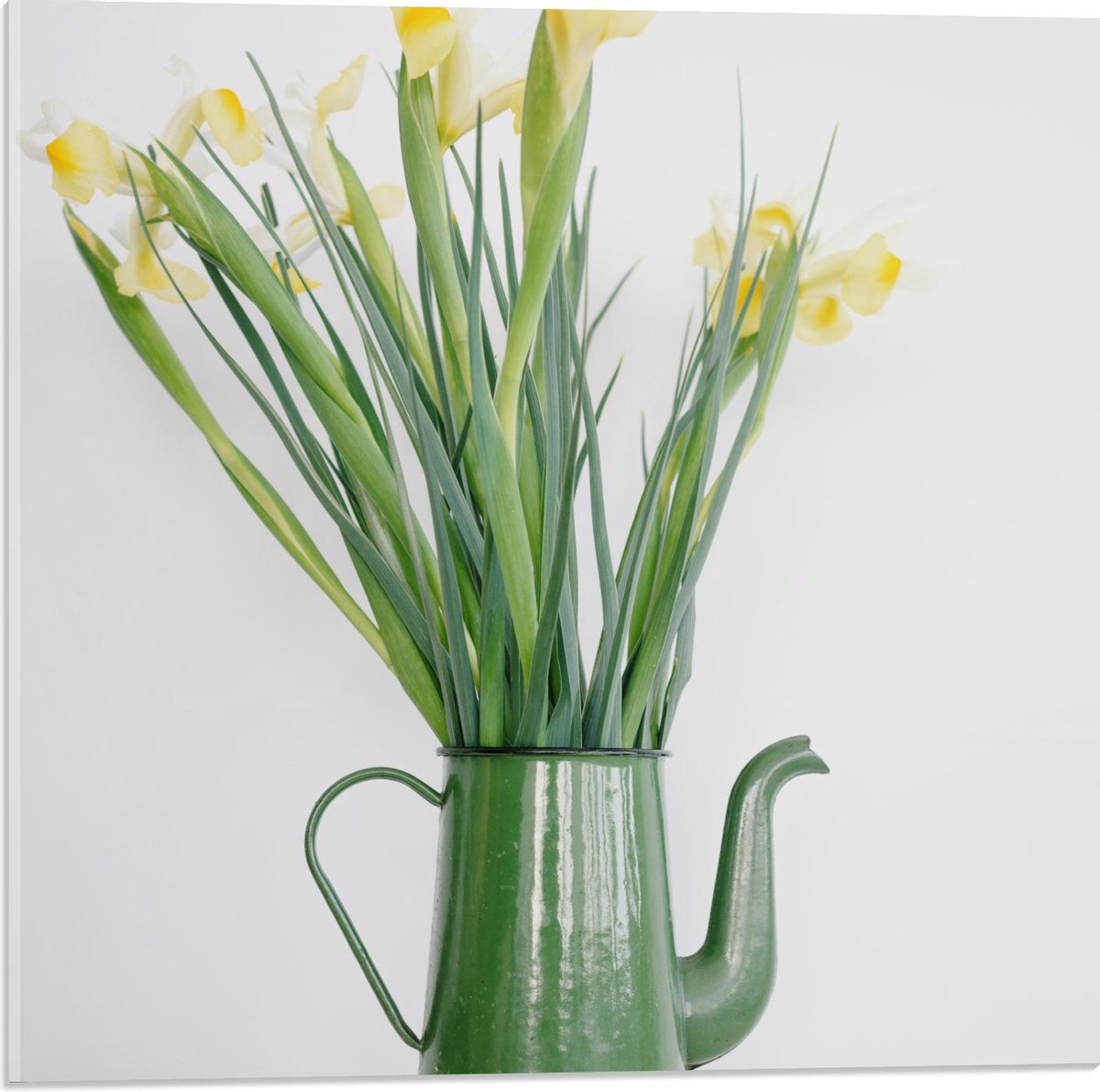 Acrylglas - Groene Gieter met Bloemetjes - 50x50cm Foto op Acrylglas (Wanddecoratie op Acr