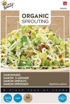 Buzzy® Organic Sprouting Daikonkers (BIO)