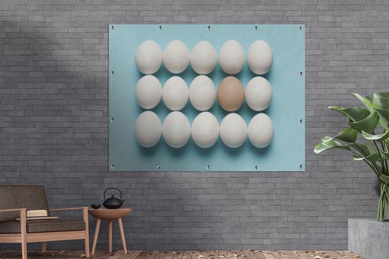 Affiche de jardin oeuf brun individuel entre oeufs blancs 160x120 cm - Toile de jardin / Toile d'extérieur / Peintures d'extérieur (décoration de jardin) XXL / Groot format!