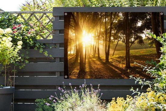 Le soleil d'automne se lève dans une forêt sombre. Affiche de jardin 120x80 cm - Toile de jardin / Toile d'extérieur / Peintures d'extérieur (décoration de jardin)