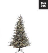 Black Box Trees - Leara kerstboom led grijs 500L TIPS 935 - h155xd109cm - Kerstbomen  (Europese stekker )