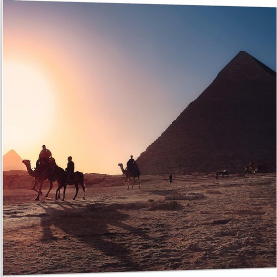 Forex - Egyptenaren op Kamelen bij Piramides bij Ondergaande Zon - 80x80cm Foto op Forex