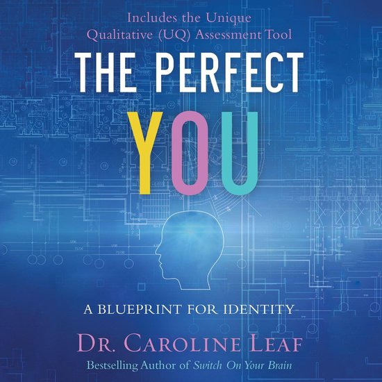 Perfect You, The - cover