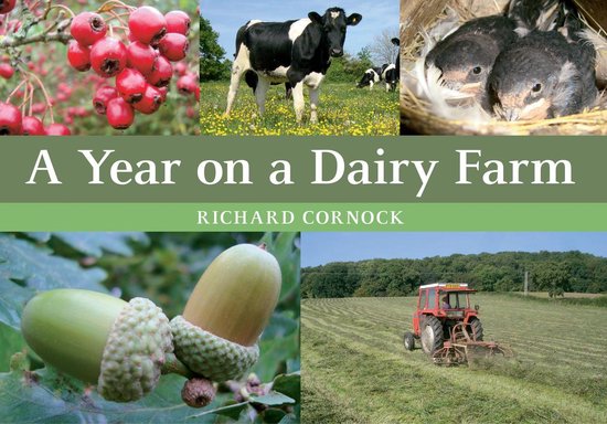A Year on a Dairy Farm - cover