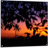 Tuinposter – Palmboom in Oranje Lucht - 100x100cm Foto op Tuinposter  (wanddecoratie voor buiten en binnen)
