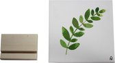 Keramische Tegel Eucalyptus-15x15cm-Inclusief houten tegelhouder-Housevitamin