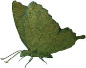 Tuinbeeld -  Vlinder - Mos