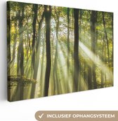 Toile toile - Photo sur toile - Soleil - Arbres - Forêt - Nature - Vert - Décoration murale - Photo toile - 120x80 cm - Peinture sur toile