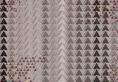 Fotobehang - Vlies Behang - Driehoeken in zwart-wit - 312 x 219 cm