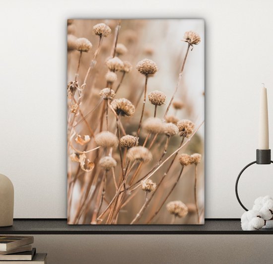 Peinture sur toile Fleurs séchées - Beige - Fleurs - Nature - 20x30 cm - Décoration murale