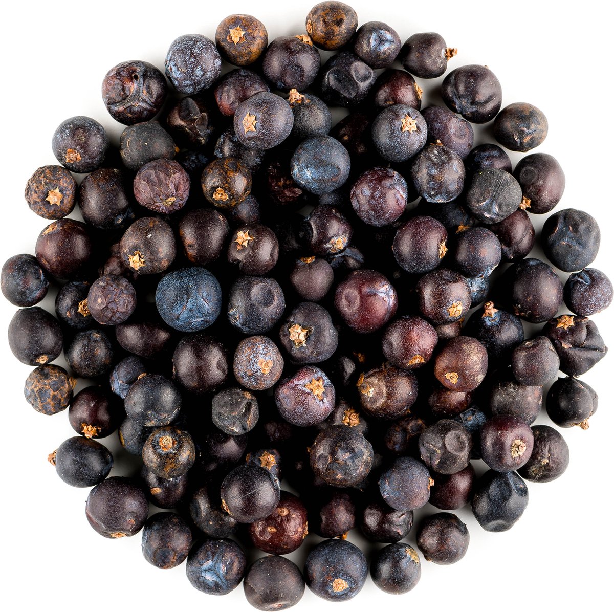Jenever Bes Gedroogd Bio - Jeverbessen Sappig En Groot - Zorgvuldig Gedroogde Jeneverbes - 350 gram