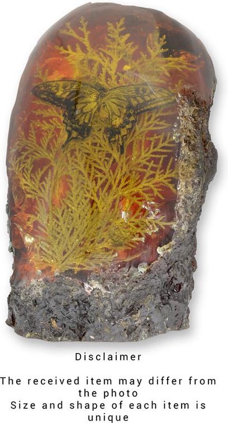 Barnsteenfossiel - Vlinder - polyresin - 20 cm hoog