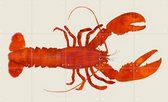 IXXI Lobster - Wanddecoratie - Dieren en insecten - 100 x 60 cm