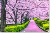 Tuinposter - Tuindoek - Tuinposters buiten - Sakura - Japan - Lente - 120x80 cm - Tuin