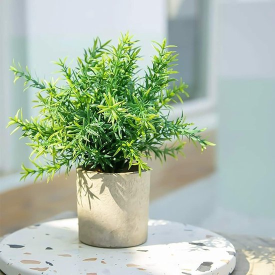 Oairse Kleine kunstplanten binnen in pot, set van 2