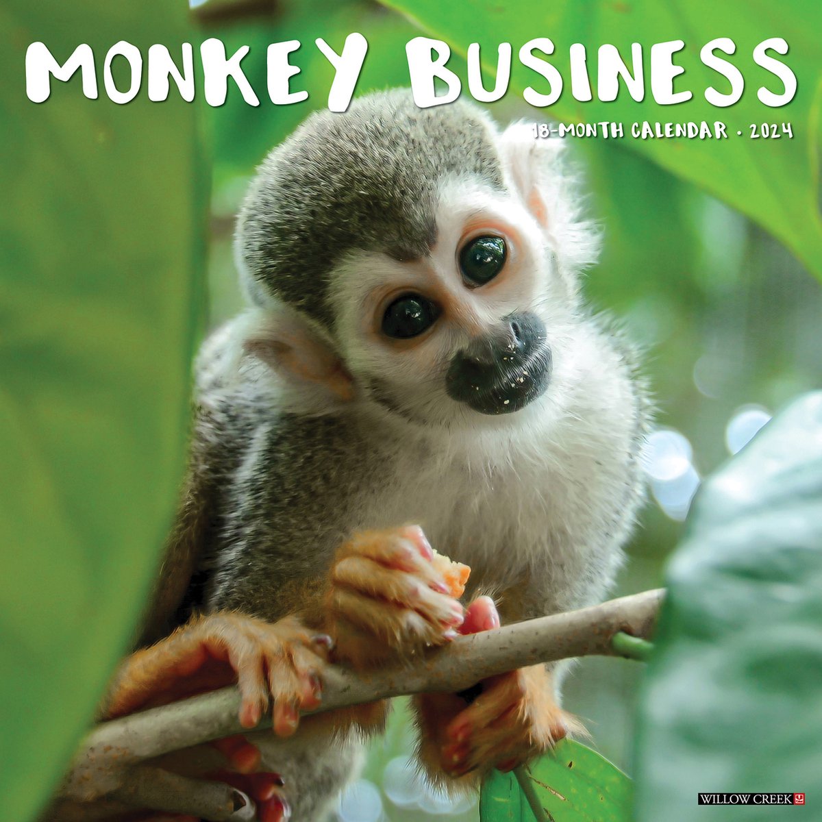 Monkey Business Kalender 2024