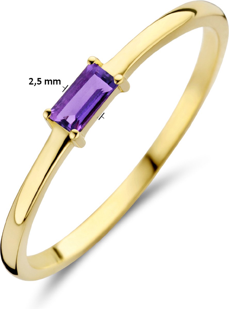 Ring Met Geboortesteen Amethist Februari 14K Geelgoud