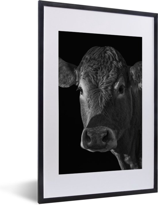 A2 lijst | 60 varianten van de A2 fotolijst | Lage prijs! - Lijstengigant