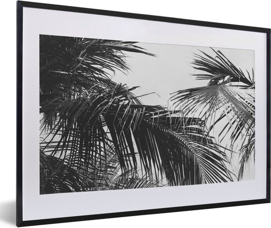 Fotolijst incl. Poster - Palmbladeren - Natuur - Vintage - Palmboom - 60x40 cm - Posterlijst
