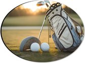 Dibond Ovaal - Golf - Golfbal - Sport - Hobby - Tas - Gras - 28x21 cm Foto op Ovaal (Met Ophangsysteem)