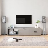 The Living Store Speakerstandaards - luidsprekerstandaard - Geluidssysteem - 35x25x75 cm - Aluminium en gehard glas