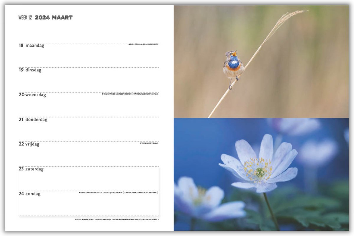 Roots Natuuragenda 2024