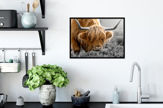 Cadre photo avec affiche - Couleur - Zwart - Wit - Scottish Highlander - 40x30 cm - Cadre pour affiche
