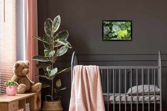 Photo en cadre - Photo de cadre photo succulent botanique coloré noir 30x20 cm - Affiche sous cadre (Décoration murale salon / chambre)