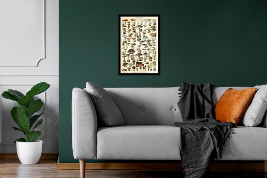 Affiche avec cadre Champignon - Automne - Nature - 20x30 cm