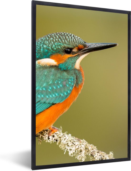 jsvogel op tak zet een vs – Artoft