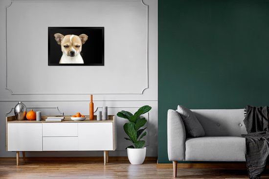 Photo encadrée - Chien hurlant sur fond noir cadre photo noir sans passe partout 60x40 cm - Affiche encadrée (Décoration murale salon / chambre)