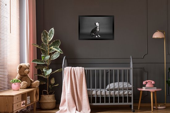 Photo dans le cadre - chien de couleur Zwart sur noir cadre photo fond noir sans monture 60x40 cm - affiche dans le cadre Décoration murale salon / chambre à coucher)