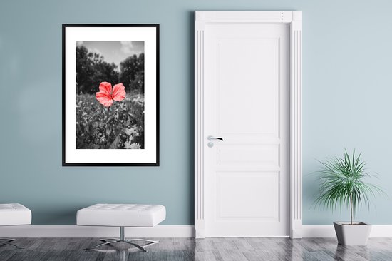 Cadre photo avec affiche - Fleurs - Rose - Zwart - Wit - 80x120 cm - Cadre pour affiche