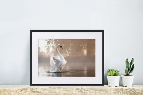 Cygne dans le lac brumeux