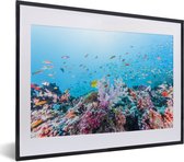 Récif coloré et corail
