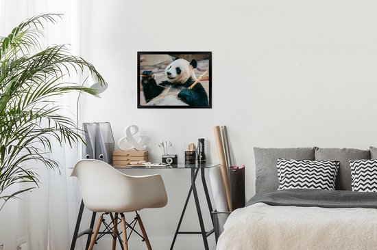 Panda mangeur de Bamboe 40x30 cm - petit