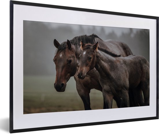 Quarter horse avec poulain dans un pré brumeux 60x40 cm