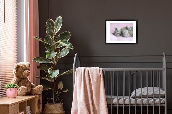 Chat gris dort sur un tapis rose 30x20 cm - petit