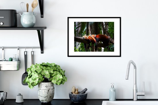 Pandas rouges dans les arbres 30x20 cm - petit