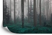 Fotobehang Bos In Mist