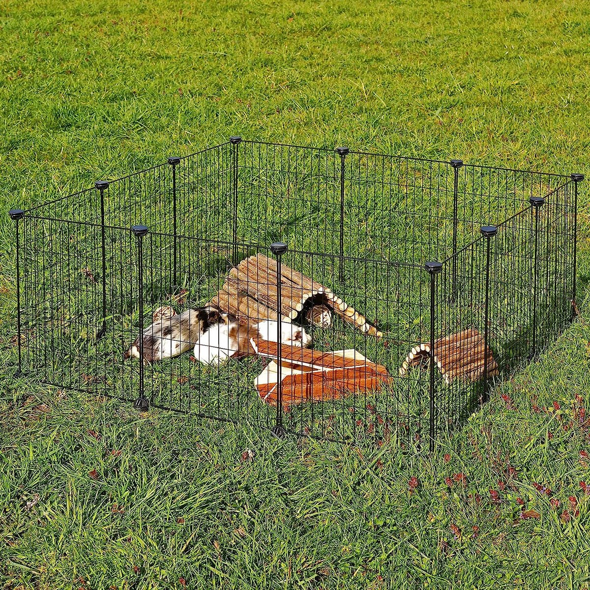 Metalen vrijloopren kleine dieren uitloop kleine dieren omheining kooi