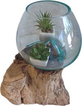 Glas fondu sur bois de teck, Vase sur bois, Fish Bowl Large