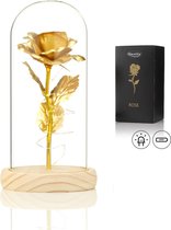 Luxe Roos in Glas met LED – Valentijn - Gouden Roos in Glazen Stolp – Moederdag - Bekend van Beauty and the Beast - Cadeau voor vriendin moeder haar - Goud - Lichte Voet – Qwality