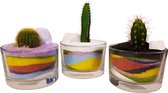 Cactus Trio met Gekleurd zand DIY project Kantoor of Huiskamer Leuk Cadeau!