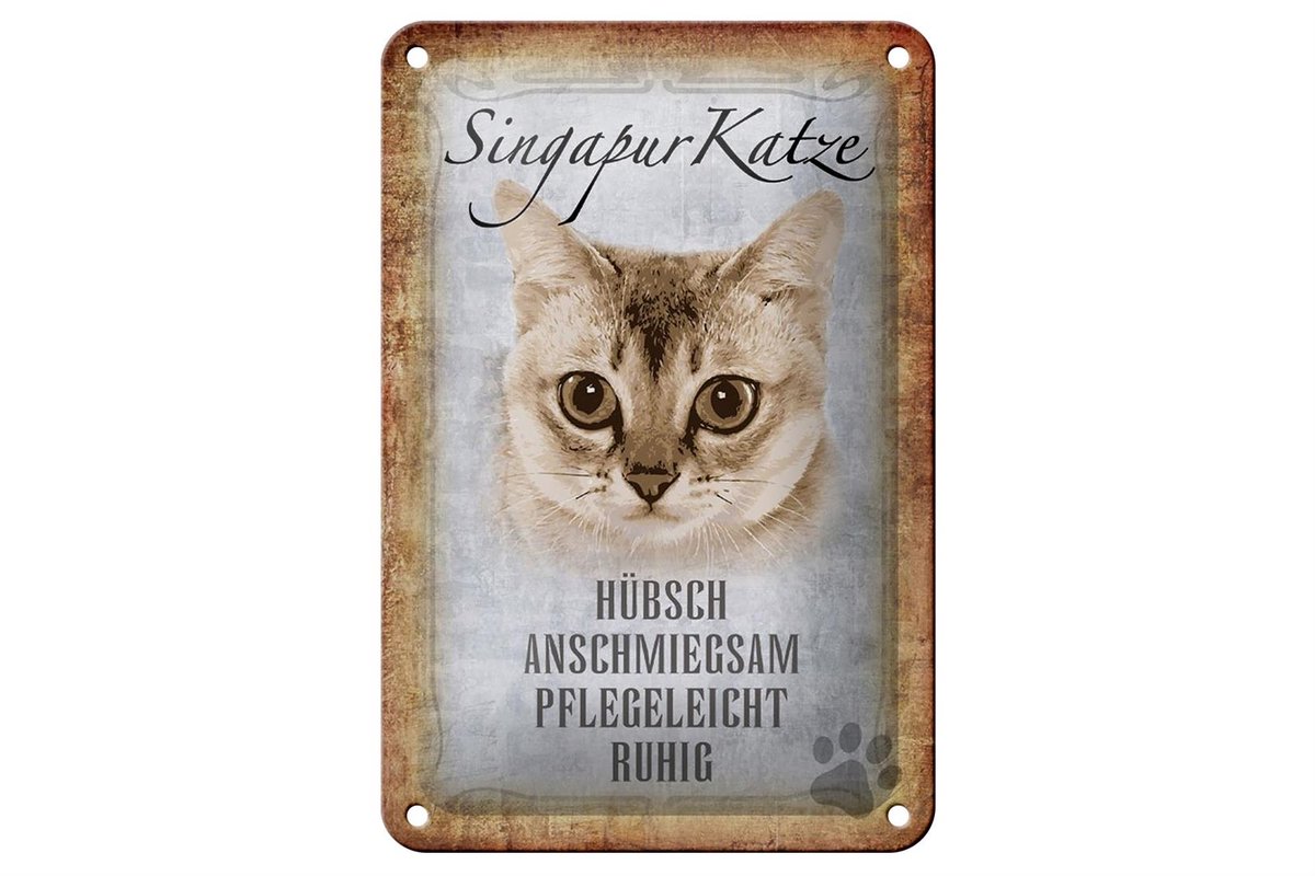 Blechschild Spruch 12x18cm Singapur Katze Schild